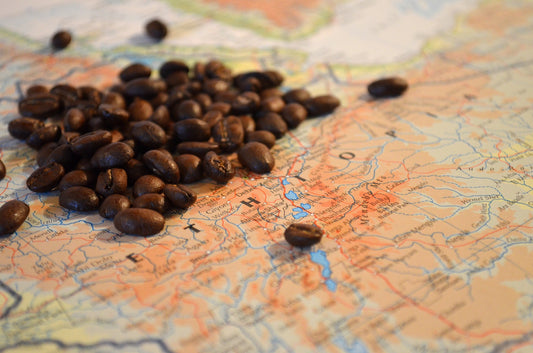 Where Do We Source Our Coffee Beans?