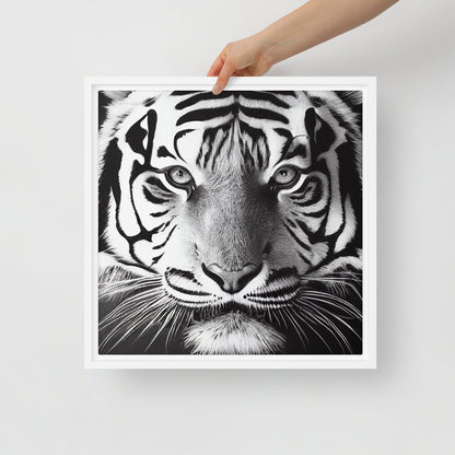 White Tiger Framed canvas